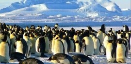 Fedora/CentOS列出已安装的内核并删除旧内核